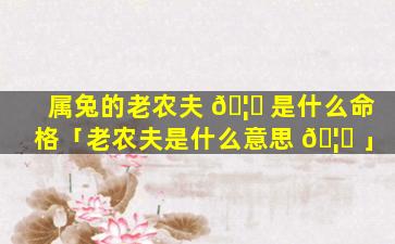 属兔的老农夫 🦋 是什么命格「老农夫是什么意思 🦆 」